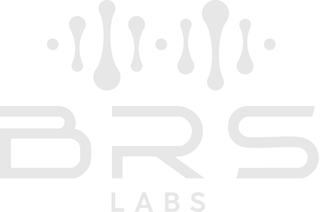 BRS Labs