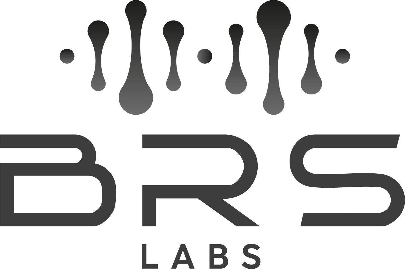 BRS Labs